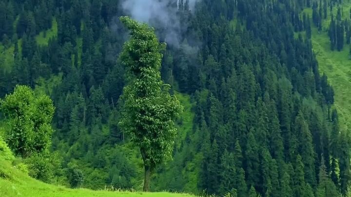 उत्तराखंड