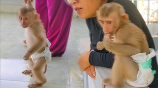 Little adorable Yaya walking with Mom enjoys looking outside from the top floor