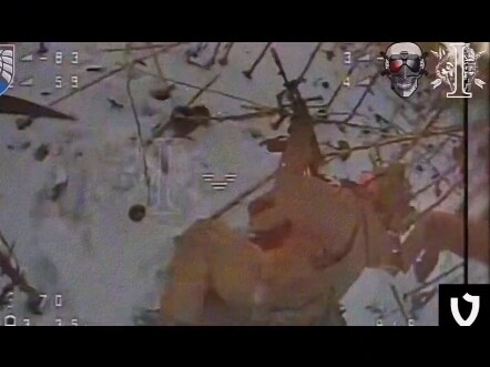 لم أستخدم هاتفًا ذكيًا في حياتي، والمرة الأولى التي واجهت فيها طائرة بدون طيار.