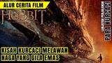 MEREBUT KERAJAAN YANG DIAMBIL ALIH NAGA || Alur cerita film The Hobbit(2/3): The Desolation of Smaug