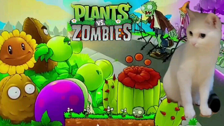 Plants vs. Cat