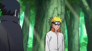 Sasuke: "Kupikir kamu tidak akan datang menemuiku."