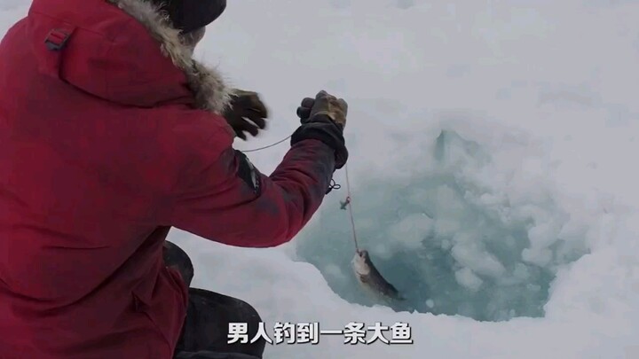 Người đàn ông bị mắc kẹt giữa băng tuyết, sống sót bằng cách ăn sashimi, tái hiện phiên bản sinh tồn