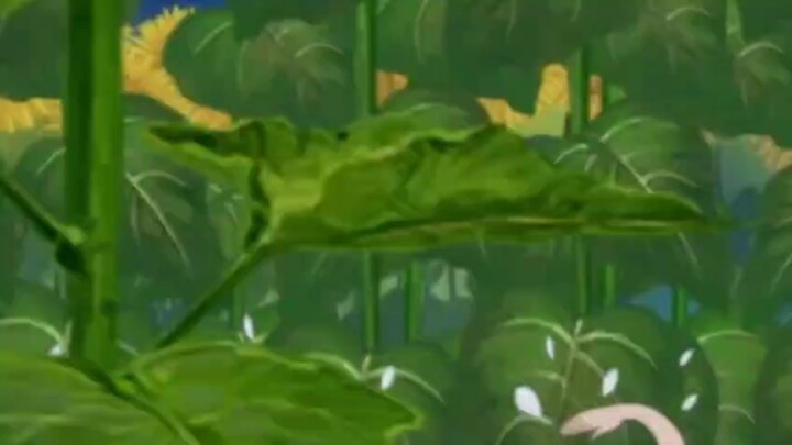 daun hijau