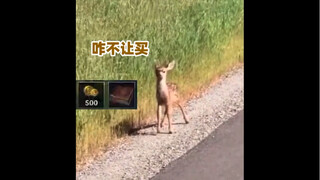 You who switched from Honor of Kings to League of Legends mobile game