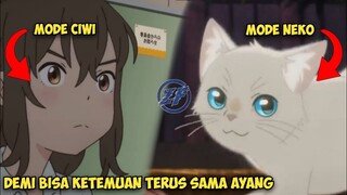 KETIKA CIWI BISA BERUBAH MENJADI NEKO AGAR BISA KETEMU AYANG | Alur Cerita Anime Neko Naki (2020)