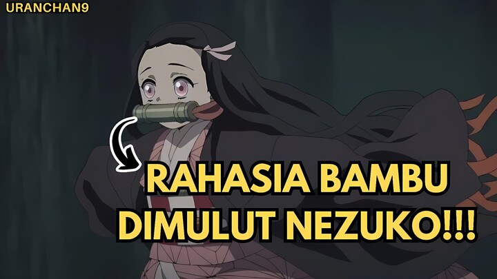 Alasan Kenapa Nezuko Selalu Menggigit Bambu dimulutnya?🤔