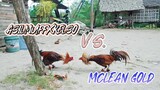 SPAR!       OUR 1X WINNER ASILMUFFXKELSO VS MCLEAN GOLD NG KAPITBAHAY