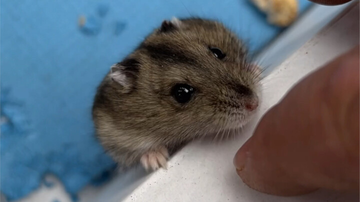 This isn't a street stall—it's about navigating social dynamics!