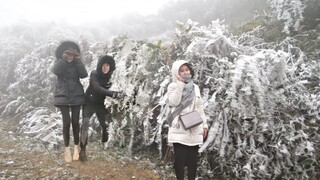 MÙ CANG CHẢI LẠNH 0 ĐỘ ĐÓNG BĂNG CHƯA TỪNG THẤY THUNG LŨNG HOA ĐÀO RỪNG ĐẸP TUYỆT TRẦN