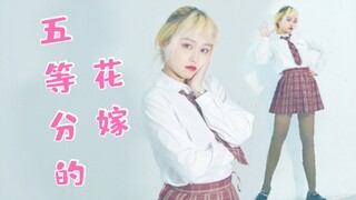 【白祈】可以做你的新娘吗♥五等分的花嫁♥五月妹妹在线征婚