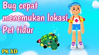 Bug cepat menemukan lokasi semua Pet tidur di PK XD Pet Festival