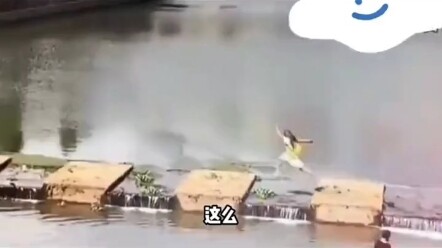 فيديو عن البشر الأوائل في عجلة من أمرهم!