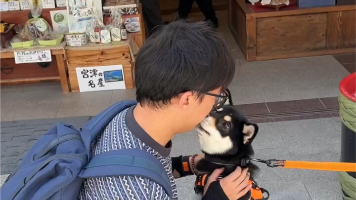 Came to Japan, and played with the local firewood