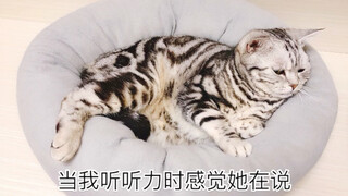 «ماذا يسمع الراسبون عندما يستمعون إلى الاستماع؟»