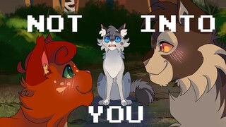 Dude, She's Just Not Into You - Ashfur PMV/MEME?