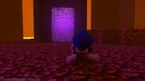 Sonic The Hedgehog In Minecraft (Part 4