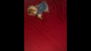 อย่านะเดี่ยวโดน