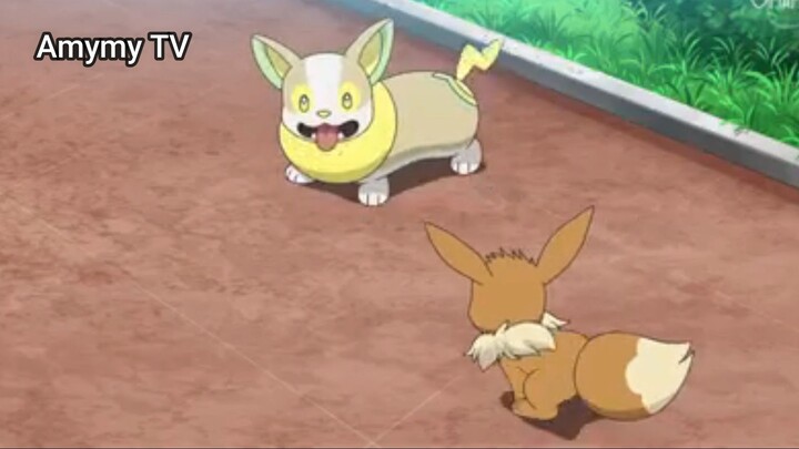 Pocket Monsters 2019 (Ep 49.2) Eievui và Wanpachi #PocketMonsters2019