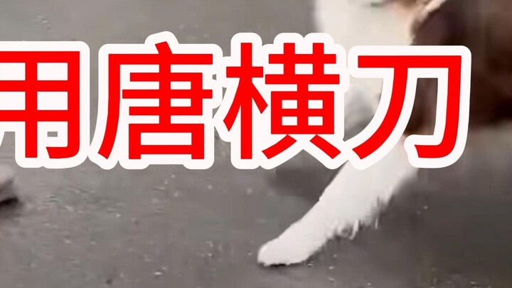 Have you heard of the Mad Dog Knife Technique?