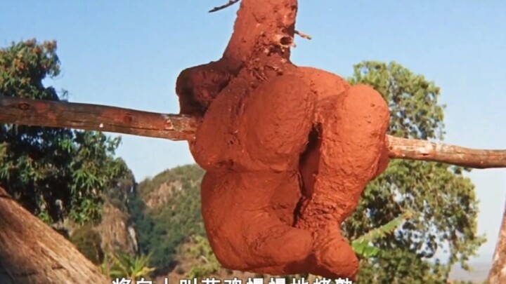 The fate of a British poacher of elephants: he was turned into a beggar’s chicken and roasted—featur