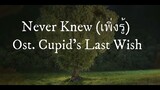 [Instrumental cover] Never Knew Ost. Cupid's Last Wish - EarthMix