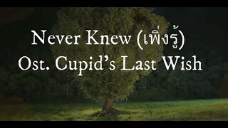 [Instrumental cover] Never Knew Ost. Cupid's Last Wish - EarthMix