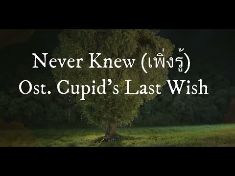 [Instrumental cover] Never Knew Ost. Cupid's Last Wish - EarthMix