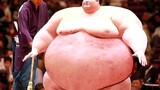 300kg sumo wrestler gets knocked out in a minute