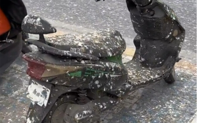 จางว่านเซิ่น, หิมะตกแล้ว