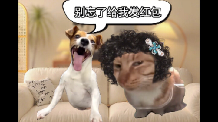 أتمنى لأمهات العالم أجمع عيد أم سعيدًا