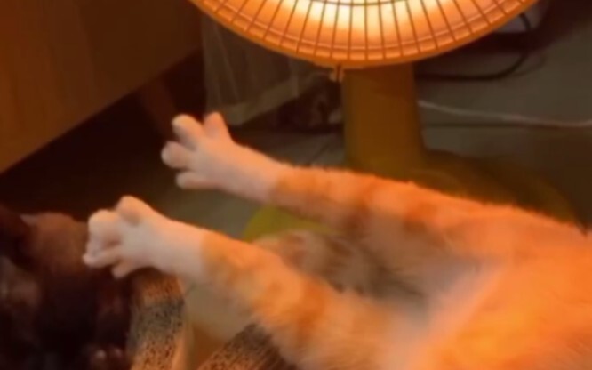 天冷了，烤烤jio