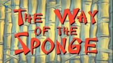 Spongebob Squarepants Bahasa Indonesia Season 8 - The Way Of The Sponge