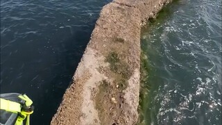 威海海鲈国国王路亚钓鱼大冒险！