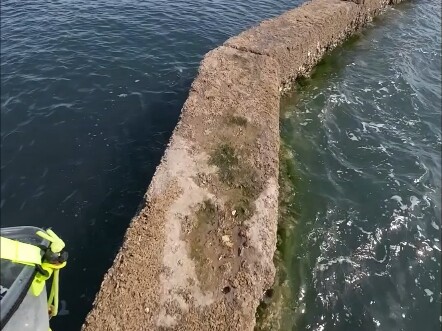 威海海鲈国国王路亚钓鱼大冒险！