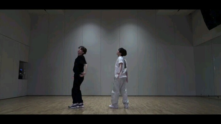 DINO'S DANCEOLOGY   个人最喜欢的Dino的danceology   wuli小灿多多跳舞叭