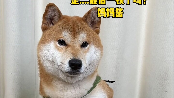 I fed the dog, and this is the reaction I got...