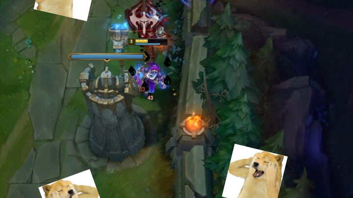 [LOL] Jangan-jangan kamu pikir aku takut, ya?
