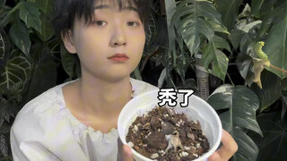 Cây cối có sức chịu đựng đáng kinh ngạc! ! ! !