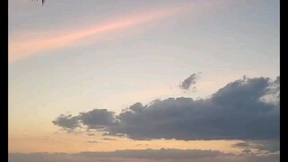 the song is so cool 😎