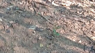 อยู่กะธรรมชาติ