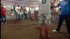 Ulutan 005