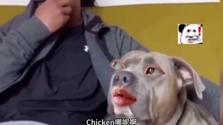 谁把开机密码告诉他了？