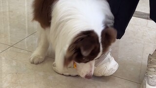 Fishy: A real man must fight, a real man must fight!