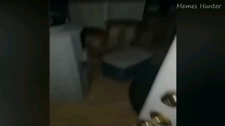 Căn Cứ Của DIO