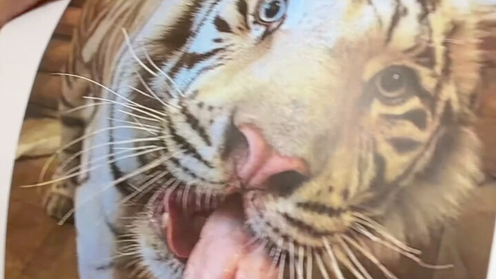 🦓: Do you even know what “excellence” means? 🤨