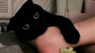 Beberapa selimut tiba-tiba hilang saat kita tidur! (Kisahku dan Qiansuisu di dalam karavan!)