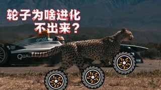 Mengapa hewan tidak mengembangkan roda?