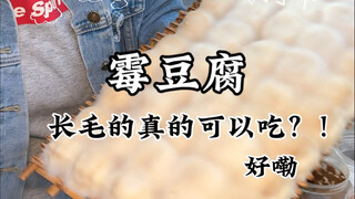 กินเต้าหู้มีขนได้มั้ย?! ใครรู้บ้างว่าแบบนี้โอเคมั้ย?