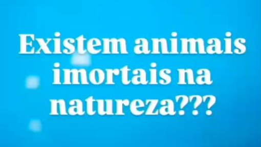 sim, existem animais imortais! yeah, there are immortals in nature!